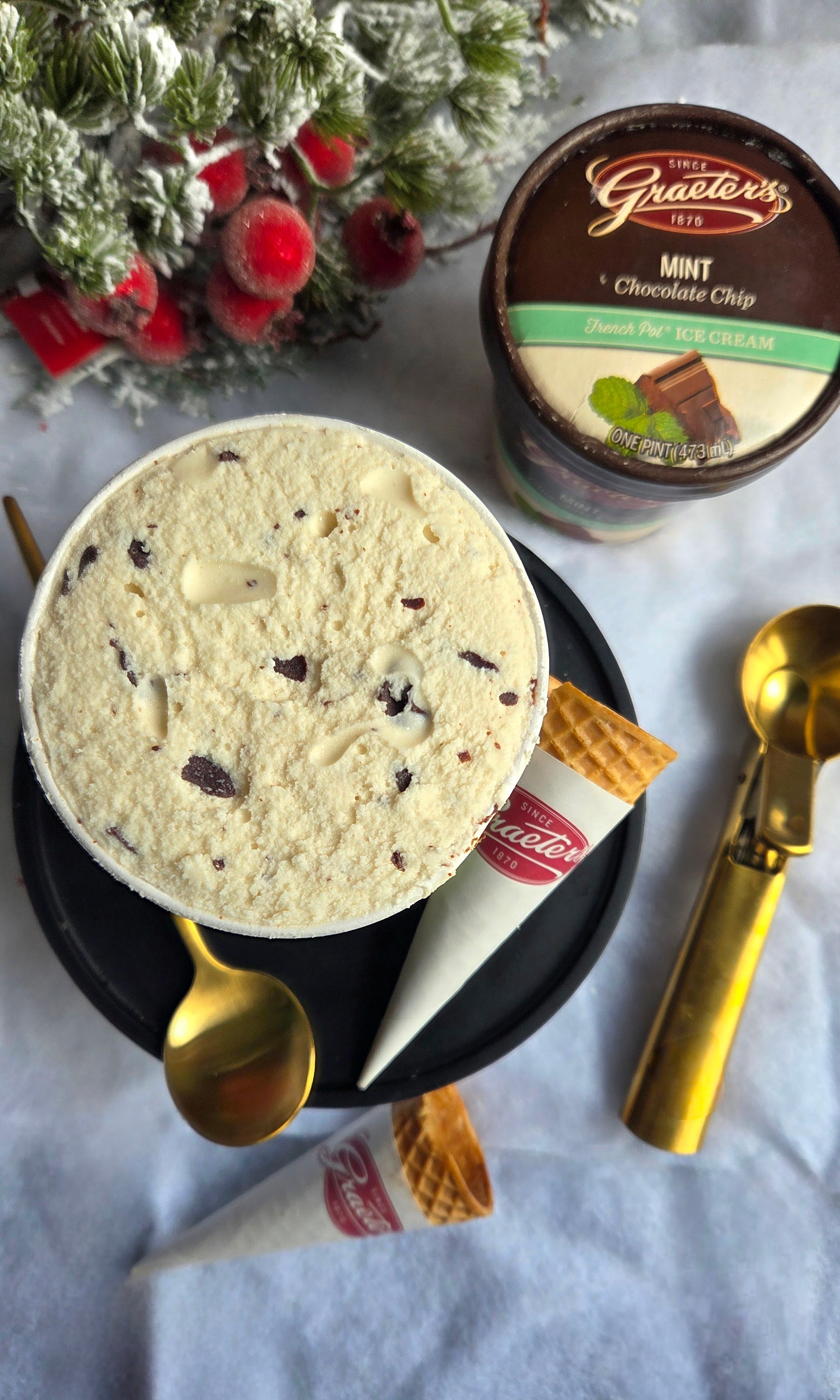 Graeter's Chip Selection Pints (6 or 12 Pack)